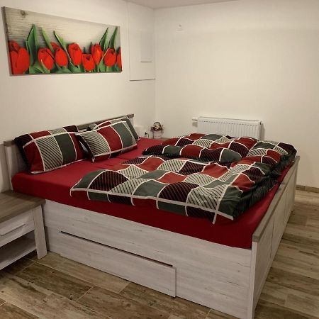 Апартаменты Apartman 206 Spicak Железна-Руда Экстерьер фото