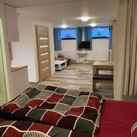 Апартаменты Apartman 206 Spicak Железна-Руда Экстерьер фото