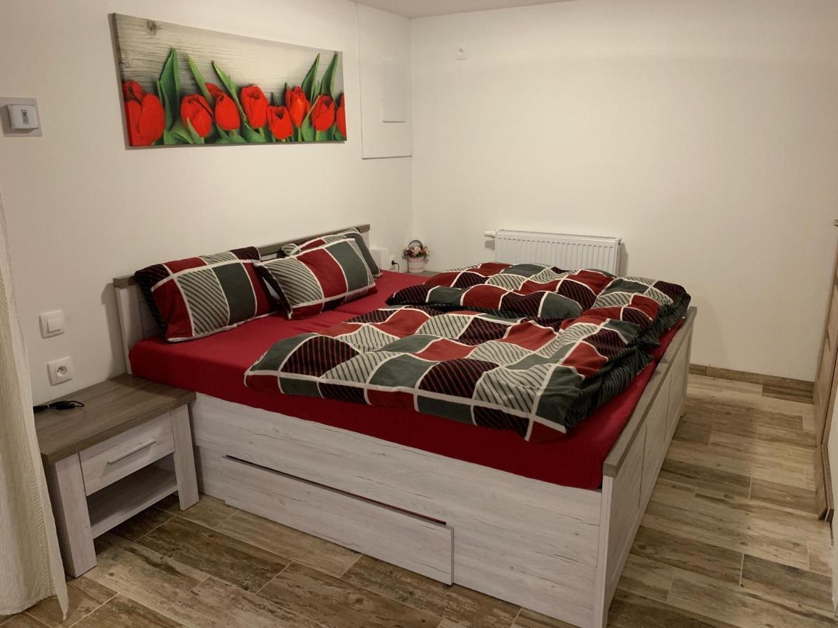 Апартаменты Apartman 206 Spicak Железна-Руда Экстерьер фото